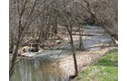 Property photo 28 - 137 Acres in 2 Tracts - 64 Tillable Acres, Potential Building Sites, Hunting